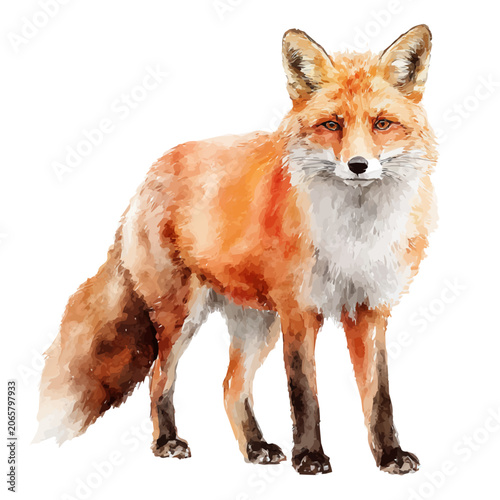 Tablou pe pânză Fox watercolor artwork, high-quality professional vector illustration isolated on a white background