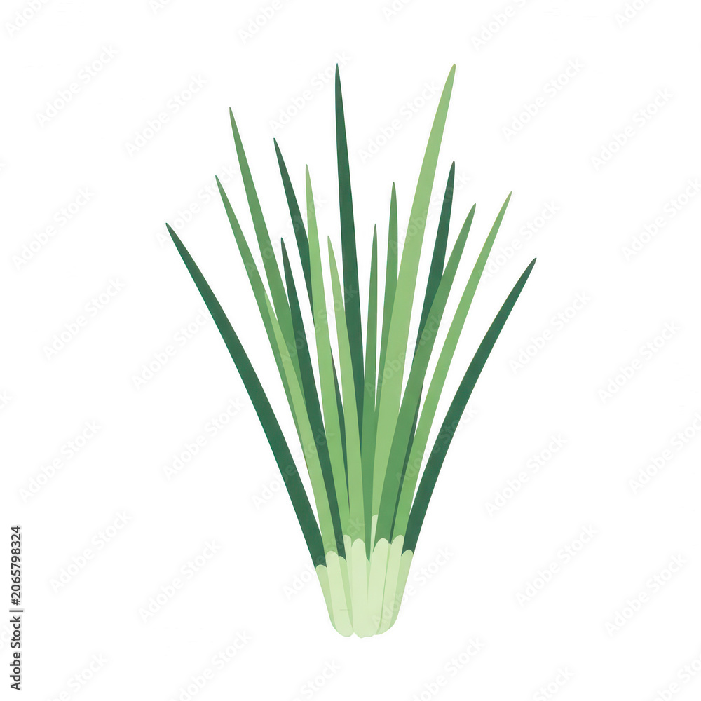 Obraz premium Green tropical grass stalks botanical illustration with eco friendly