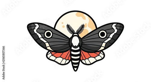 Colorful moth with open wings.