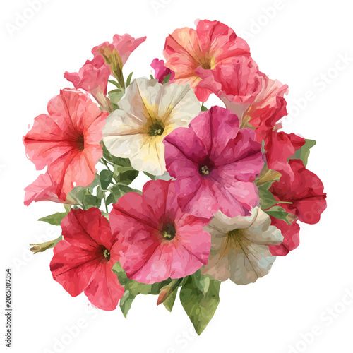Fotografie Stylized watercolor Petunia Bouquet vector, modern artistic illustration with high-quality details on a pure white background