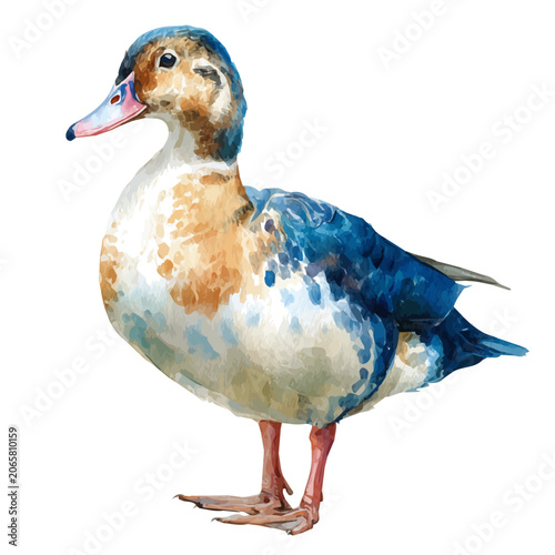 Tablou pe pânză Duck Confit watercolor vector, hand-painted style, high-quality illustration isolated on white background