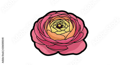 Colorful Pink Flower Closeup Illustration.