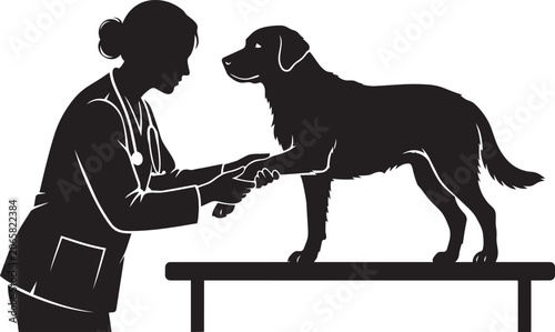 Bild auf Leinwand Veterinarian examining a black dog paw