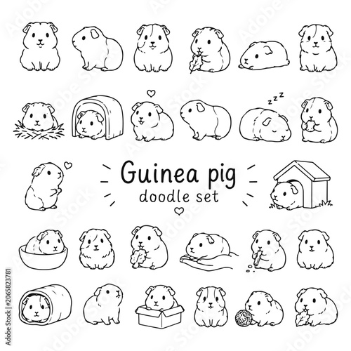 Photos Guinea pig doodles set