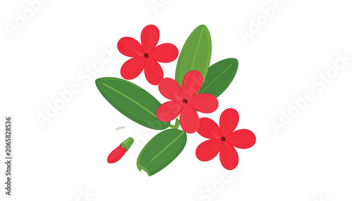 Red flowers with green leaves cluster.