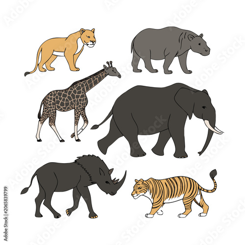 Photography Wild animals, safari icons, vector illustrations, wildlife set, 6 animals