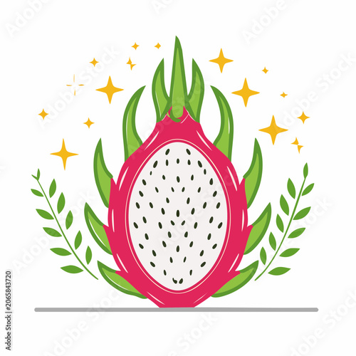 Dragon Fruit Illustration