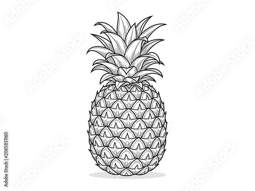 Detailed black and white pineapple illustration design.