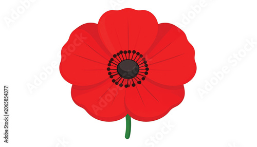 Red Poppy Flower Closeup View.