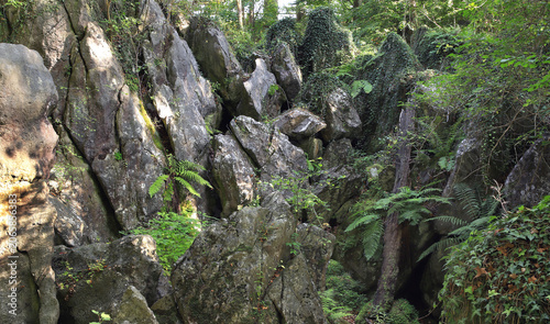 Photos Felsenmeer bei Hemer im Sauerland, es ist ein beeindruckendes nationales Geotop und Naturschutzgebiet, das durch bizarre Kalksteinformationen und tiefe Schluchten besticht
