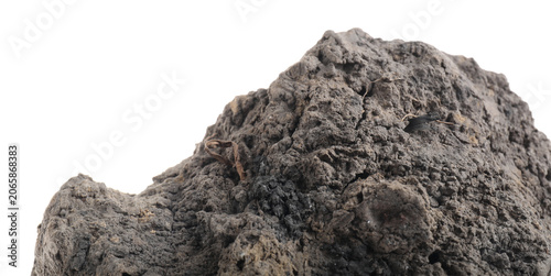 Fotografie One clump of dirt isolated on white