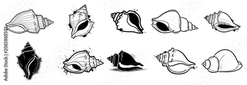 Bild auf Leinwand Sacred conch shells and shankha symbols set in stylized line art with ink splatt