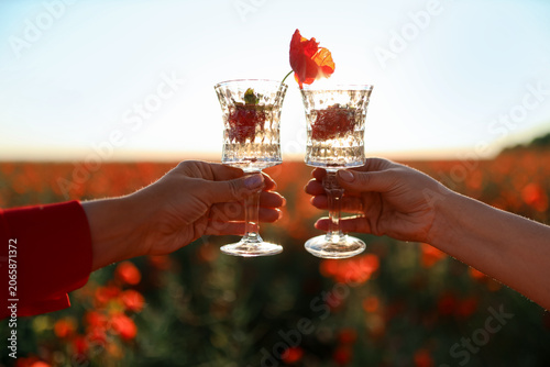 Women with glasses of refreshing drinks among red poppy flowers in field, clo...