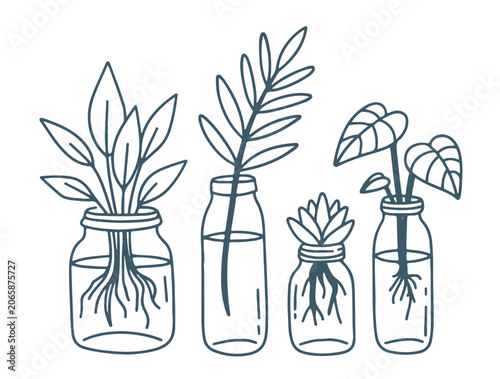 A minimalist hand-drawn illustration of four glass jars with plant cuttings and visible roots on a white background. Doodle