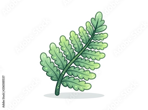 Fresh green potted succulent plant on white.