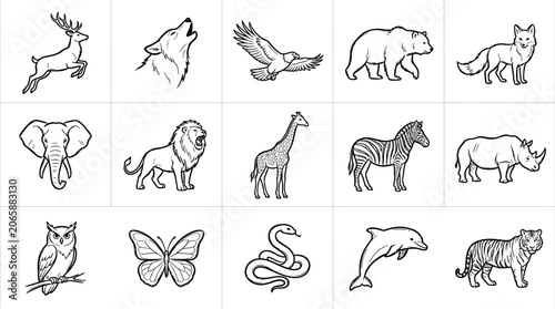 Collection of various wild animals.