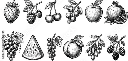 Konstfotografi An intricate collection of hand-drawn botanical fruit illustrations featuring st