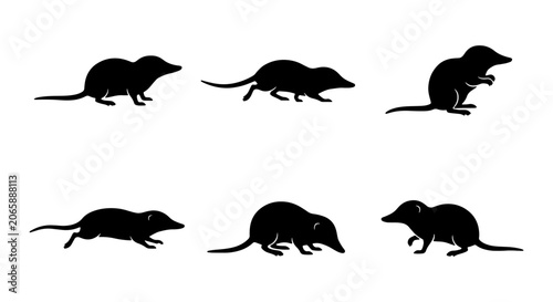Fényképezés Shrew Silhouette Collection, Six Diverse Poses, Small Mammal Vector Icons, Wildl