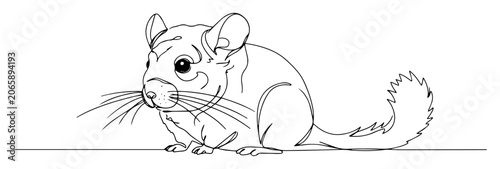 chinchilla sitting illustration engraving monoline vector