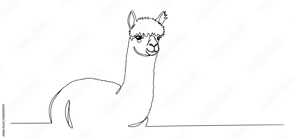 Fototapeta premium alpaca head raised portrait engraving monoline vector