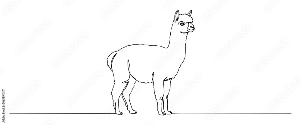 Fototapeta premium alpaca standing side profile black vector thin line on white background