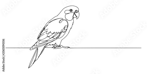 Quadro su tela parrot perched tropical bird engraving oneline vector
