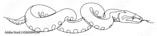 Фотография boa constrictor snake coiled with open mouth engraving oneline vector