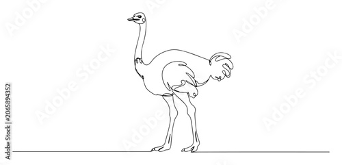 Fotografie ostrich bird standing profile engraving oneline vector