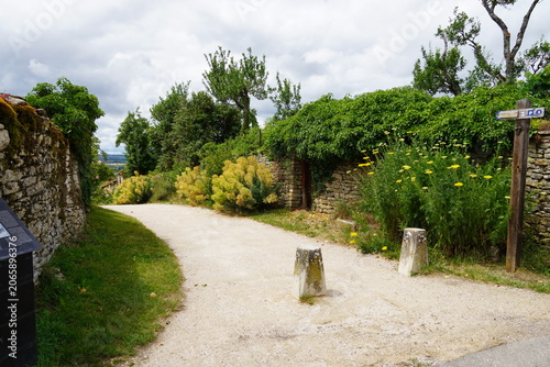 Street downhill, with many flowers in the village of Châteauneuf. June, France, Burgundy. Côte-d’Or.