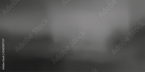 Obraz na plátne A blurred and hazy grayscale image evoking a sense of mystery and introspection, suitable for abstract concepts and emotional expression
