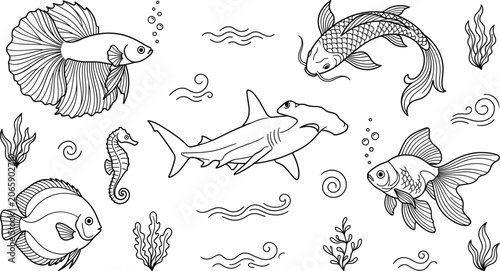 Obraz na plátně Fish and sea creatures vector outline icon set featuring betta koi hammerhead sh