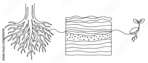 Tree roots soil layers and sprouting seedling in continuous line art style
