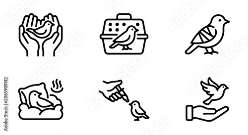 Billede på lærred Bird Care Icons Set, Avian Pet Collection, Feathered Friend Graphics, Animal Wel