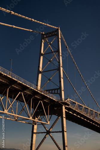 Hercílio Luz Bridge framed by tree leaves on a sunny day in Florianópolis, Santa Catarina, Brazil