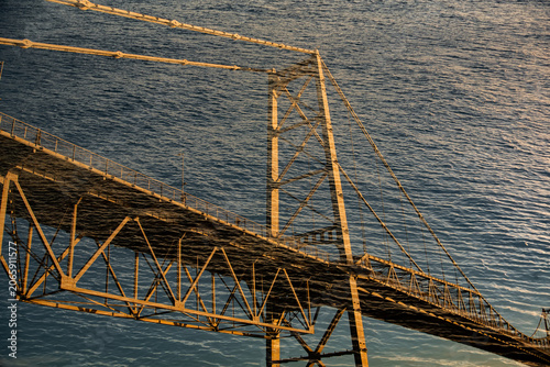 Hercílio Luz Bridge framed by tree leaves on a sunny day in Florianópolis, Santa Catarina, Brazil