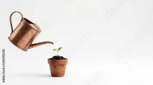 Copper watering can gently waters a small green seedling growing in a terracotta pot against a clean white background