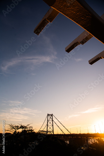 Hercílio Luz Bridge framed by tree leaves on a sunny day in Florianópolis, Santa Catarina, Brazil