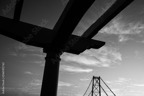 Hercílio Luz Bridge framed by tree leaves on a sunny day in Florianópolis, Santa Catarina, Brazil
