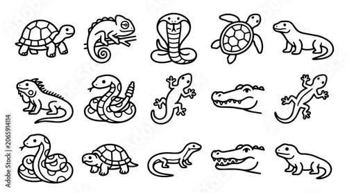 Diverse reptile animals line art collection