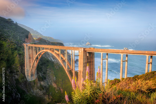 Bixby Creek Bridge with Lupine Wildflowers in Foreground, Big Sur California Coast