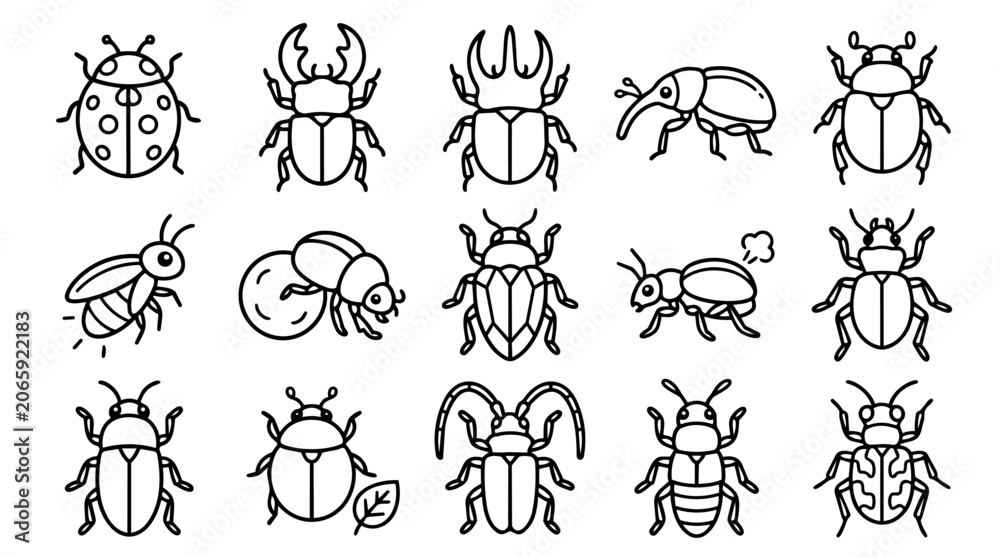 Fototapeta premium Set of diverse insect and beetle outline icons