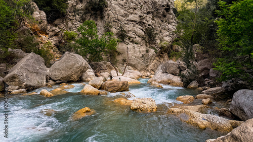 Vászonkép Turquoise mountain river in a rocky canyon with soft daylight and verdant forest