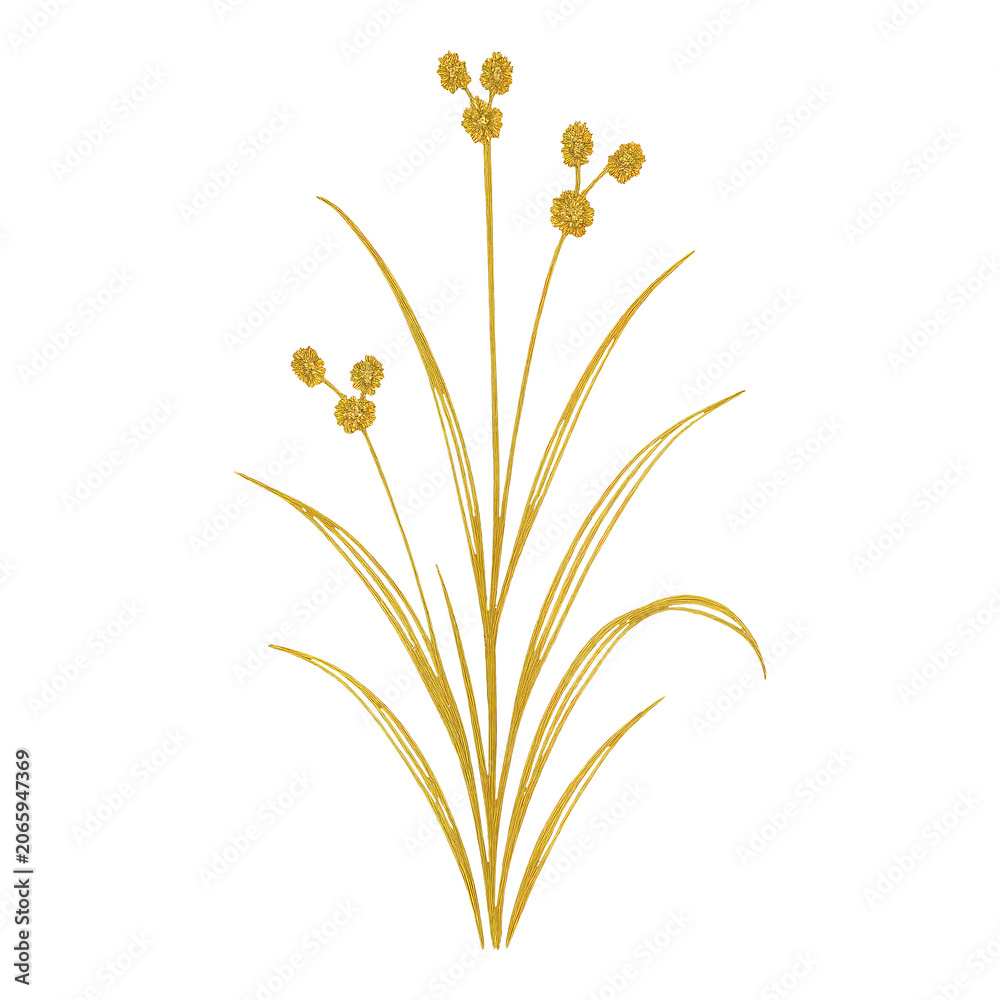 Obraz premium PNG Elegant golden botanical illustration.