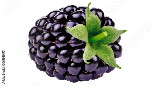 Obraz na plátně Isolated ripe dark blackberry fruit with green calyx, fresh and delicious sweet