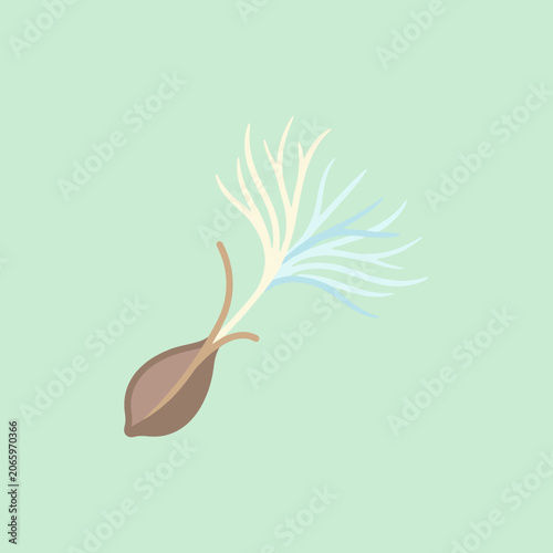 Obraz na plátně A simple flat illustration of a seed with a feathery pappus