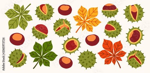 Foto Autumn chestnut vector set with prickly green shells, brown seeds and colorful horse chestnut leaves