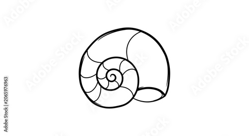 A black and white illustration of a nautilus shell.