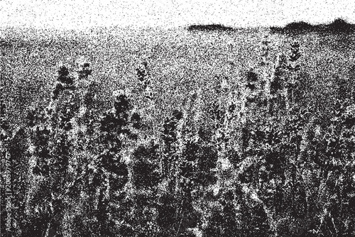 Modern alternative culture graphic asset featuring chaotic monochrome patterns.