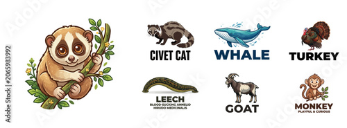 Photography Animal Collection Icon Set