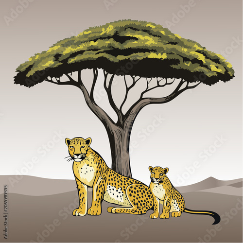 Leopard mother and cub resting under an acacia tree in the savanna.